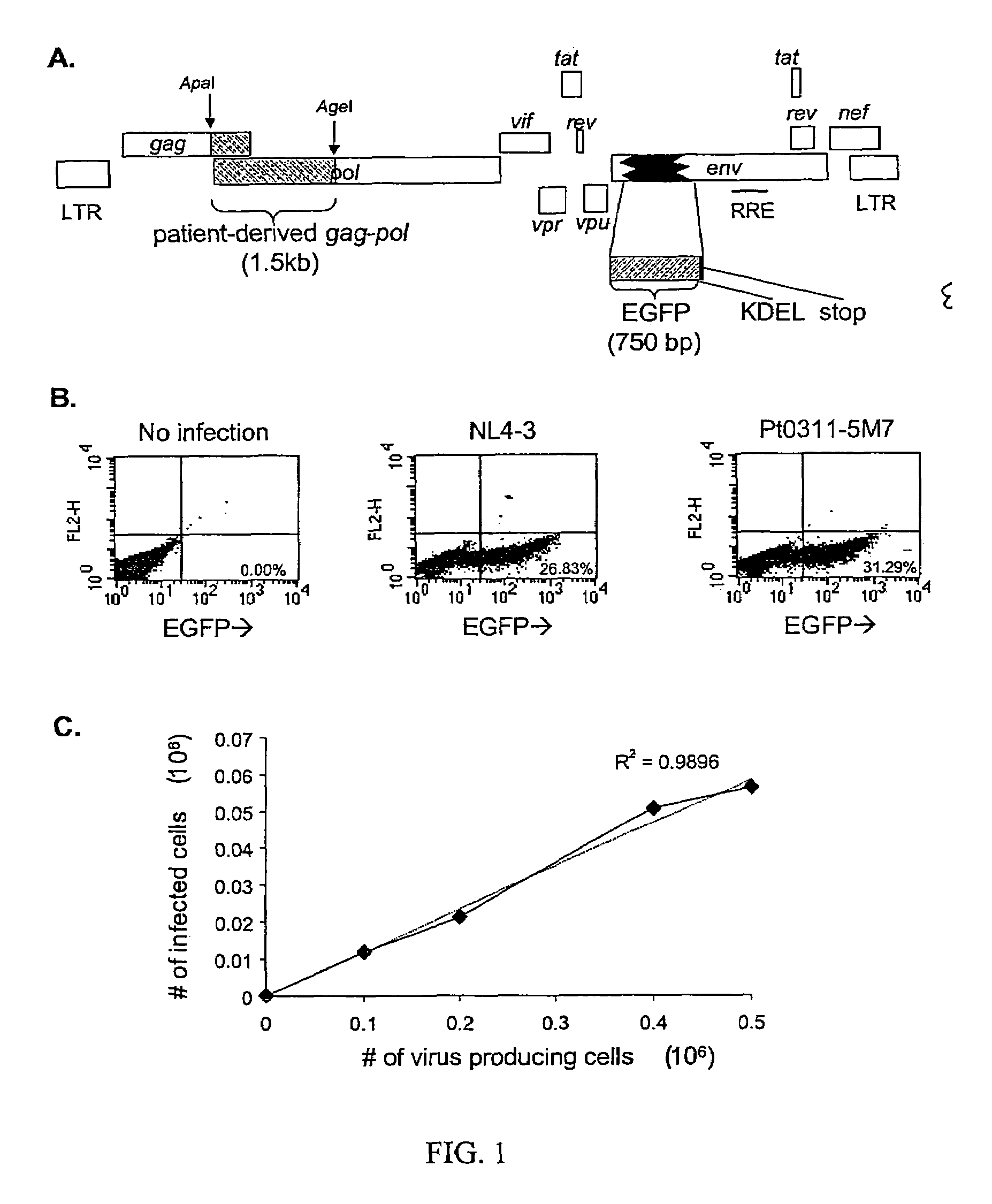Single cell analysis of HIV replication capacity and drug resistance