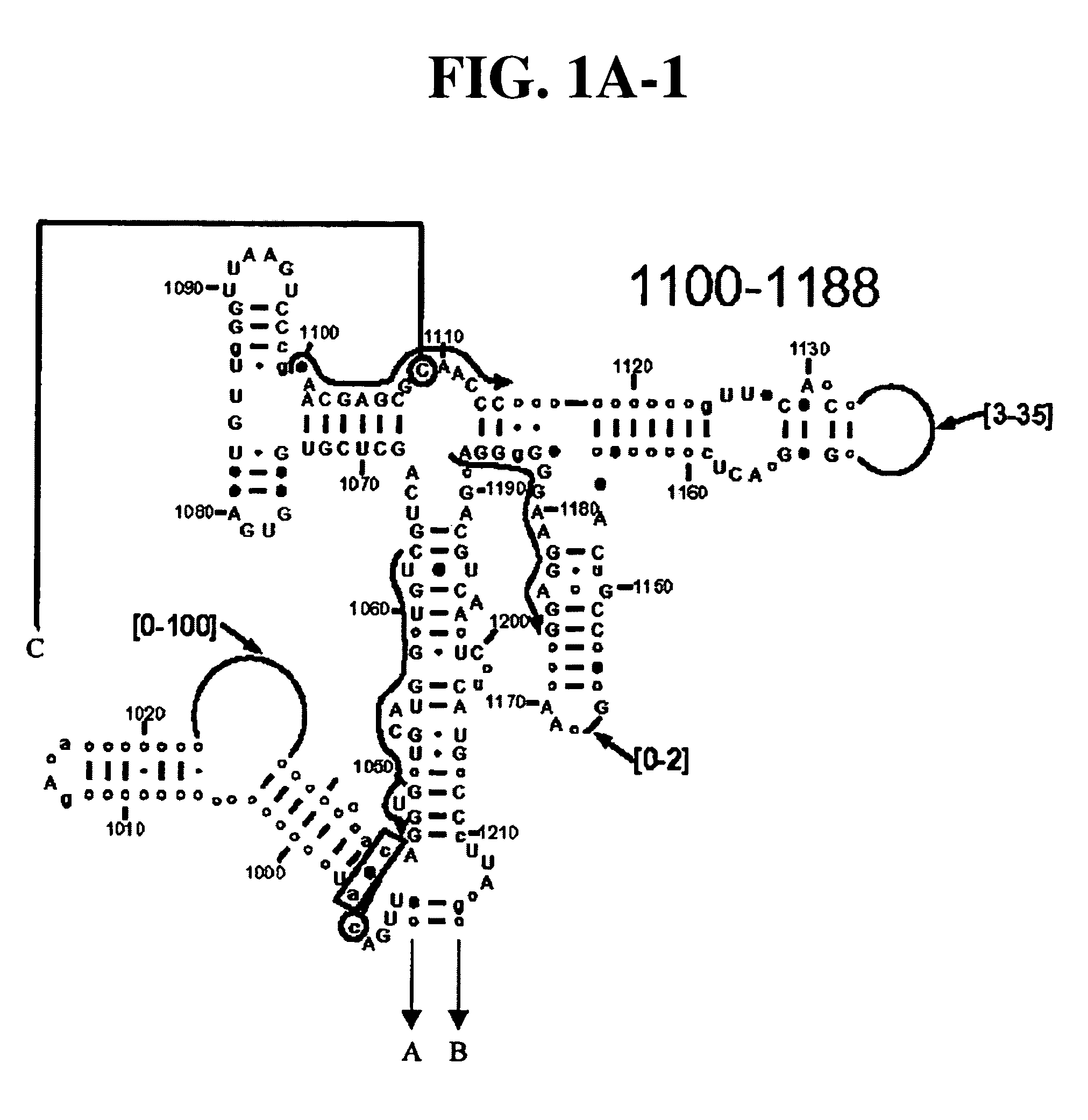 Method for rapid detection and identification of bioagents