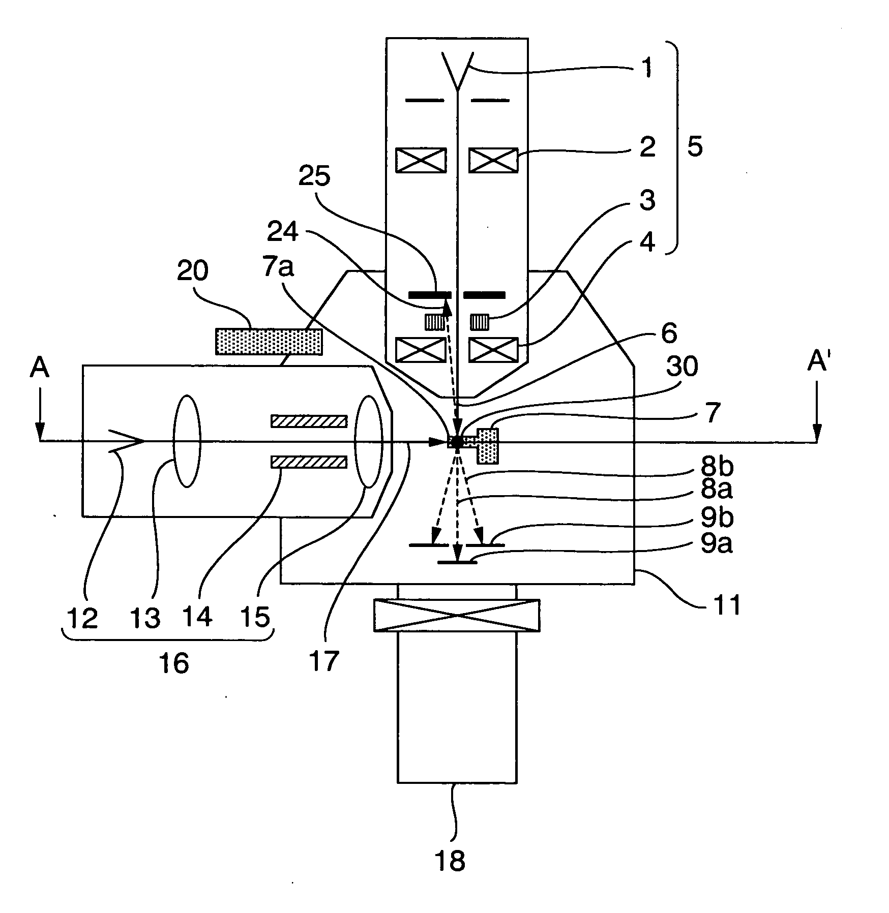Charged particle beam apparatus and sample manufacturing method