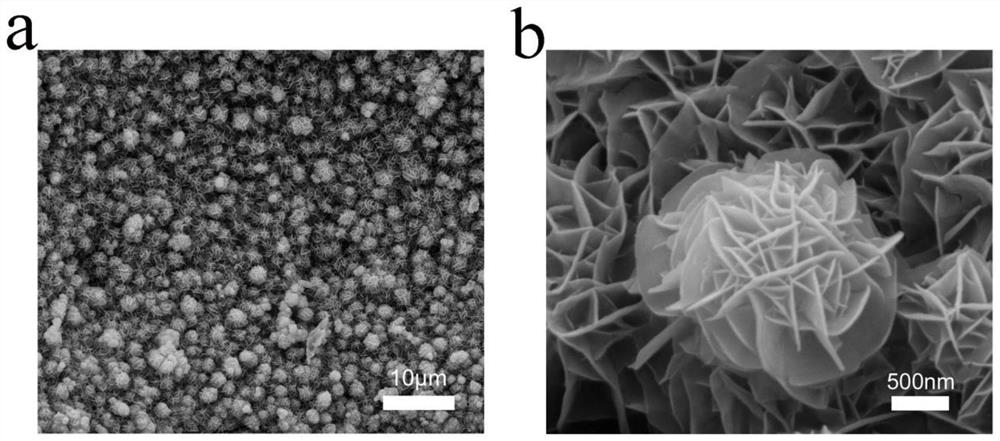 Composite catalyst with NiTe and NiFe loaded on foamed nickel as well as preparation method and application of composite catalyst