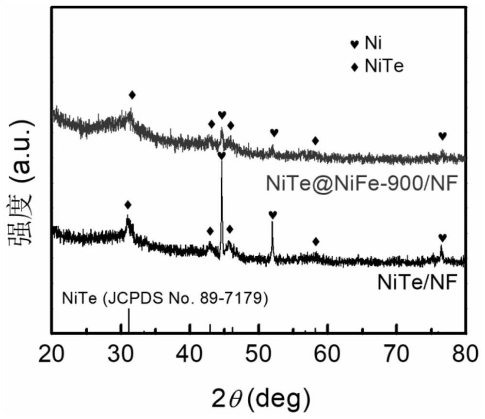 Composite catalyst with NiTe and NiFe loaded on foamed nickel as well as preparation method and application of composite catalyst