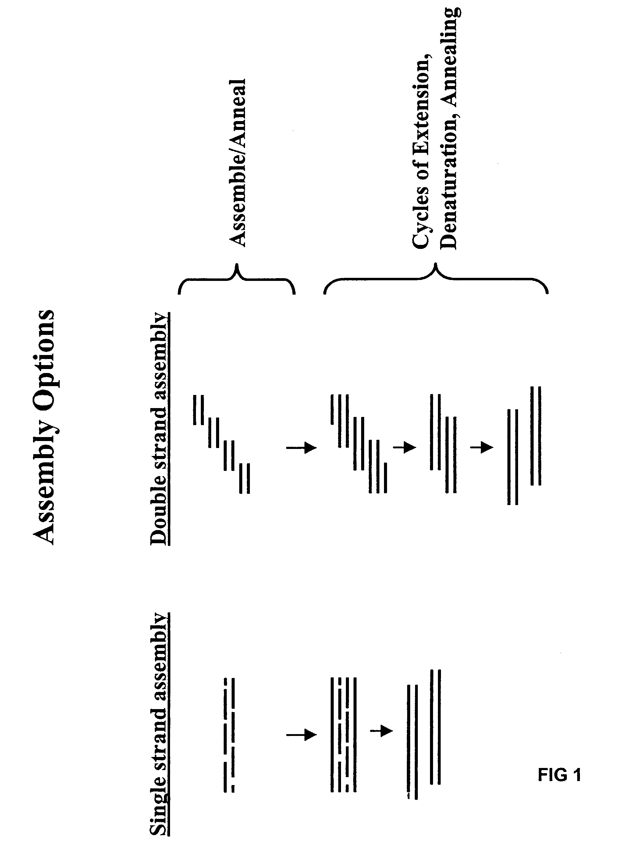 Method of error reduction in nucleic acid populations