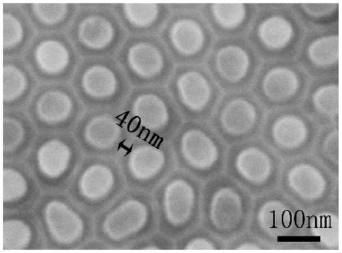 A method for preparing self-assembled bayberry-like gold SERS substrate assisted by iron nano-lattice