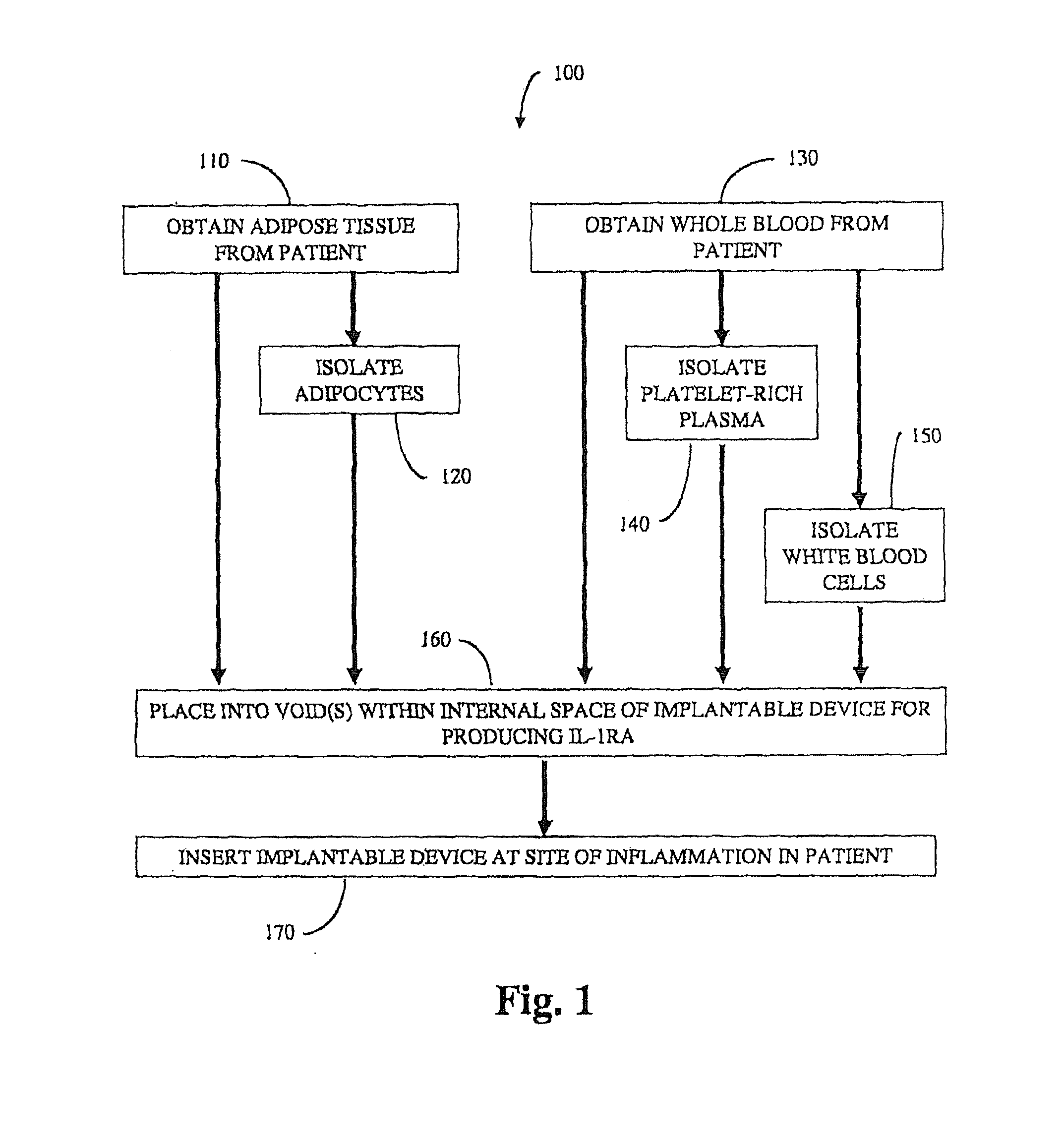 Implantable device for production of interleukin-1 receptor antagonist