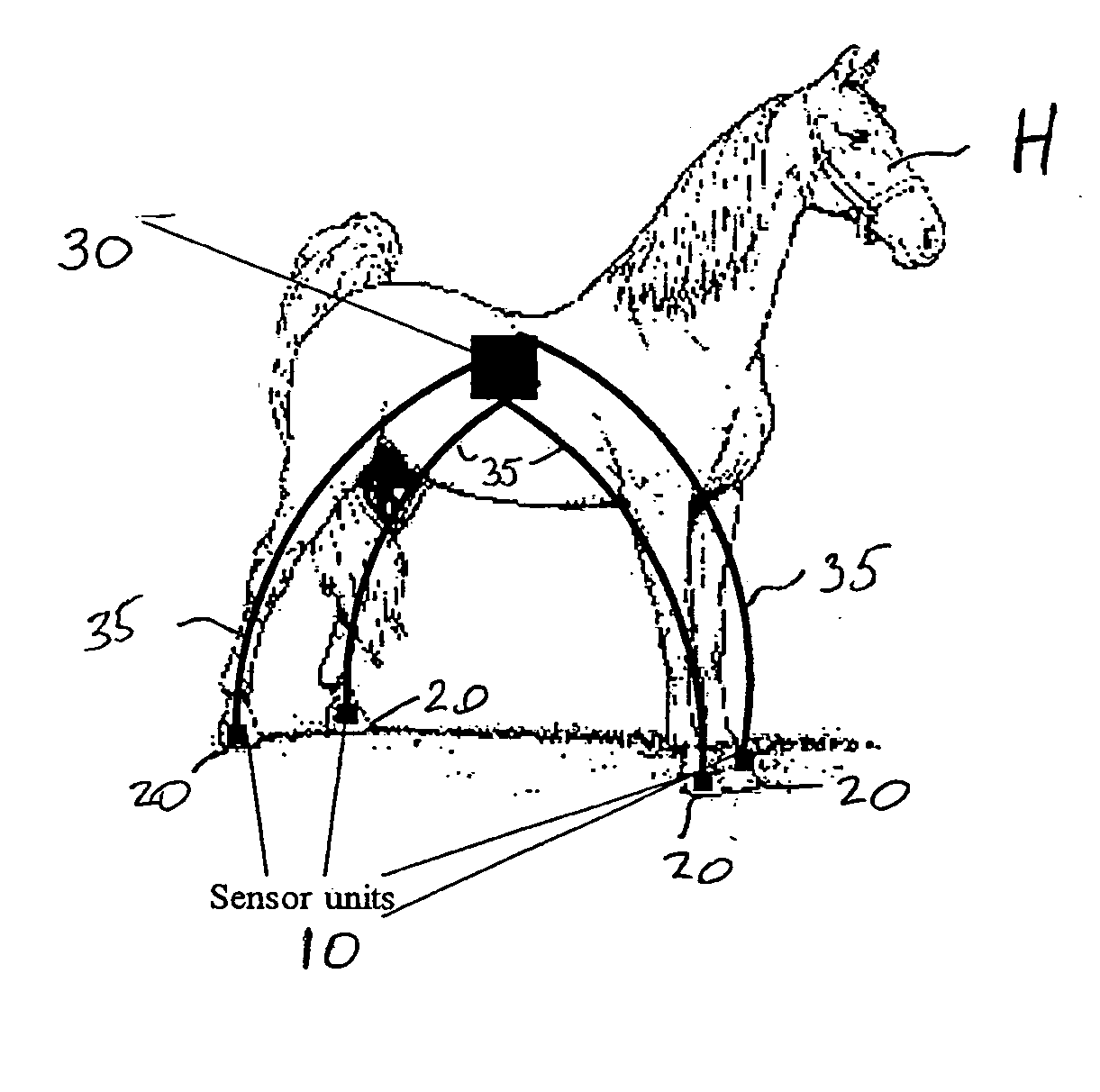 Method and apparatus for evaluating animals' health and performance