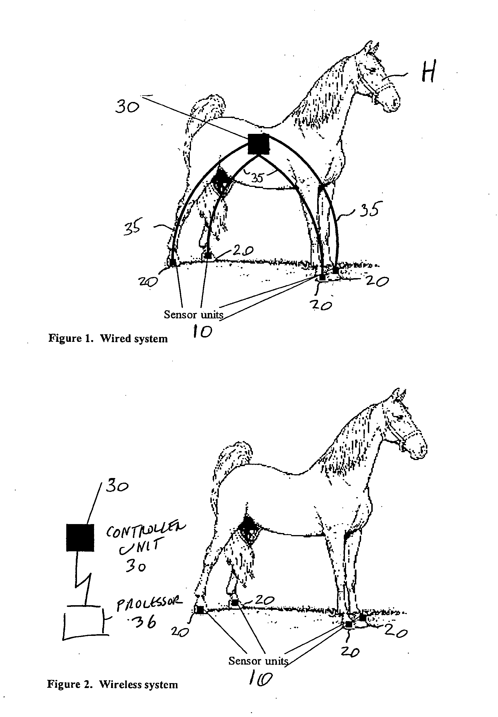 Method and apparatus for evaluating animals' health and performance