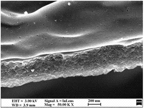 Preparation method and application of biomass porous carbon plate based on kapok fibers