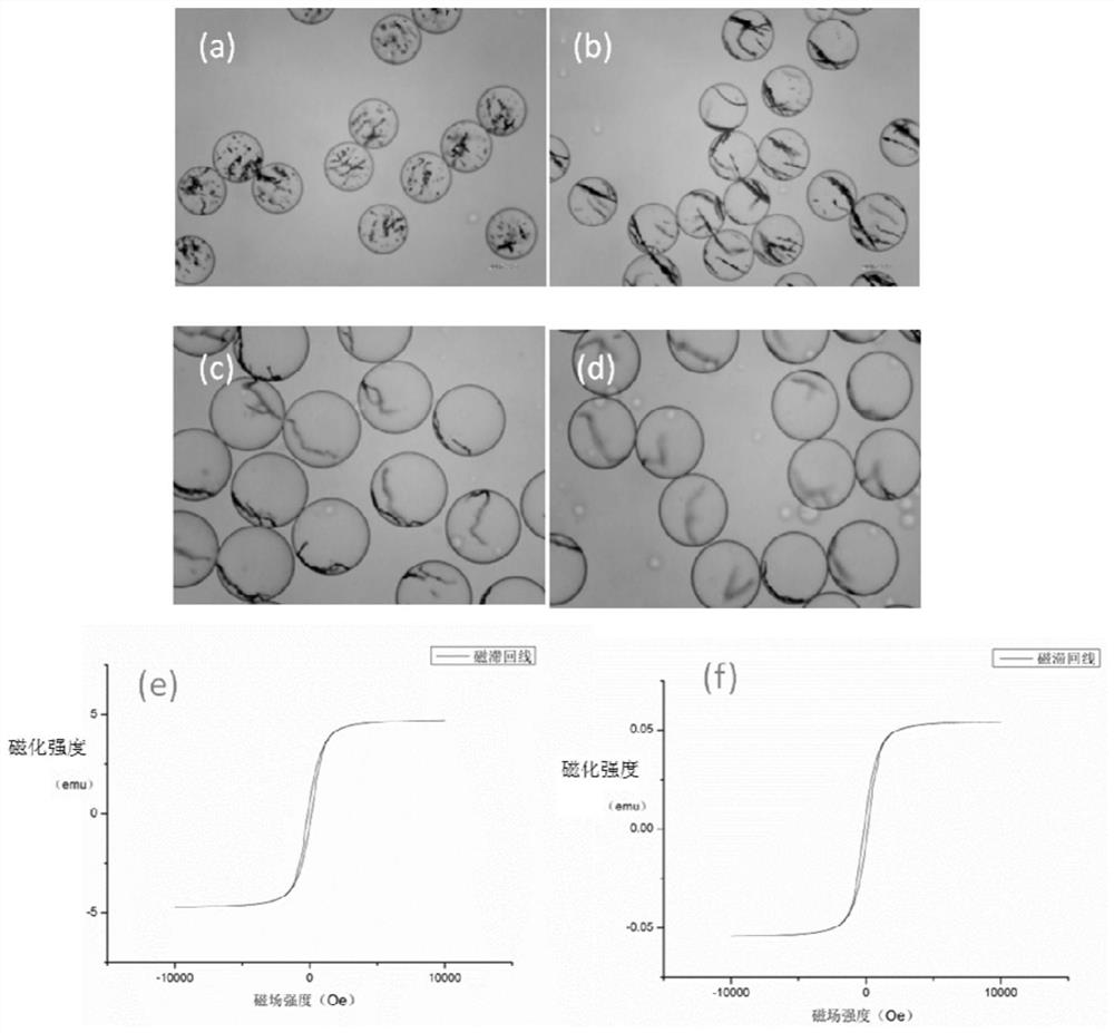 A preparation method and application of magnetic fluorescent coded microspheres
