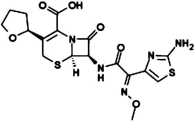 A kind of synthetic method of cefotaxin and sodium salt thereof