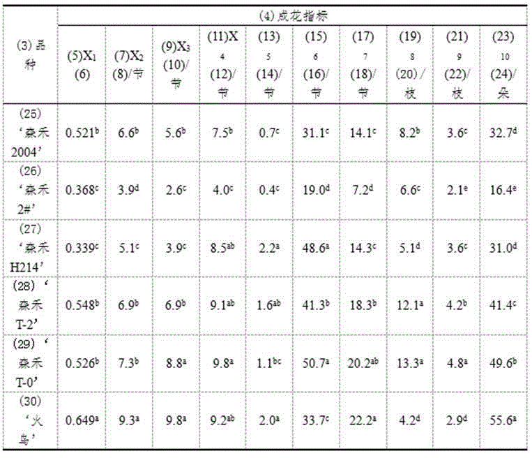 Early screening method for good varieties of bundle plant type nobile-type dendrobium