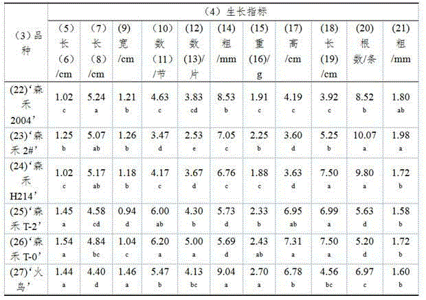 Early screening method for good varieties of bundle plant type nobile-type dendrobium