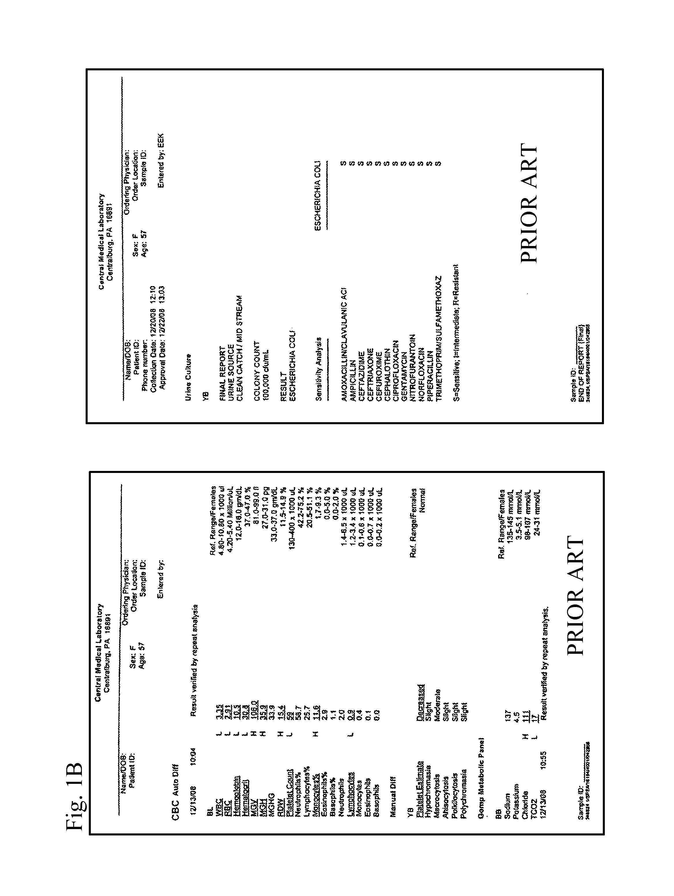 System and method for prioritization and display of aggregated data