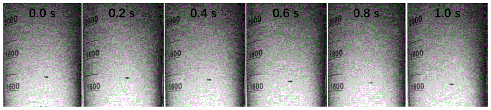 Method for improving sludge settling performance in low-concentration zinc-containing wastewater treatment process