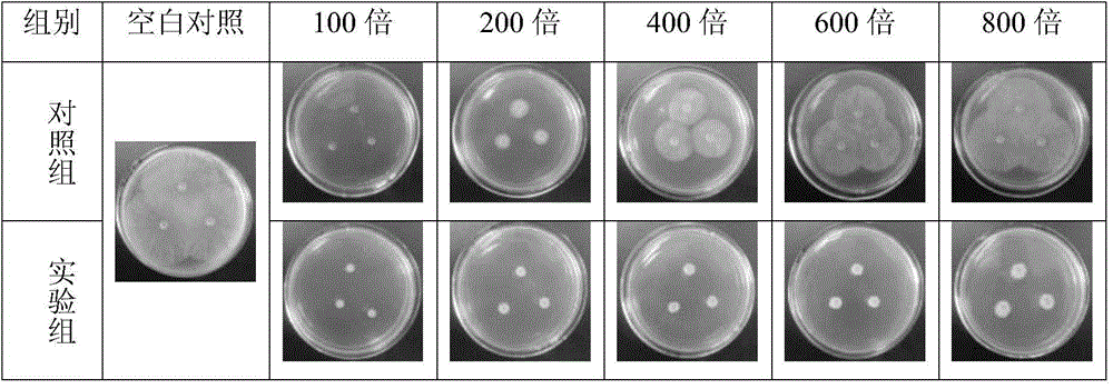 Botanical fungicide as well as preparation, use and storage methods thereof