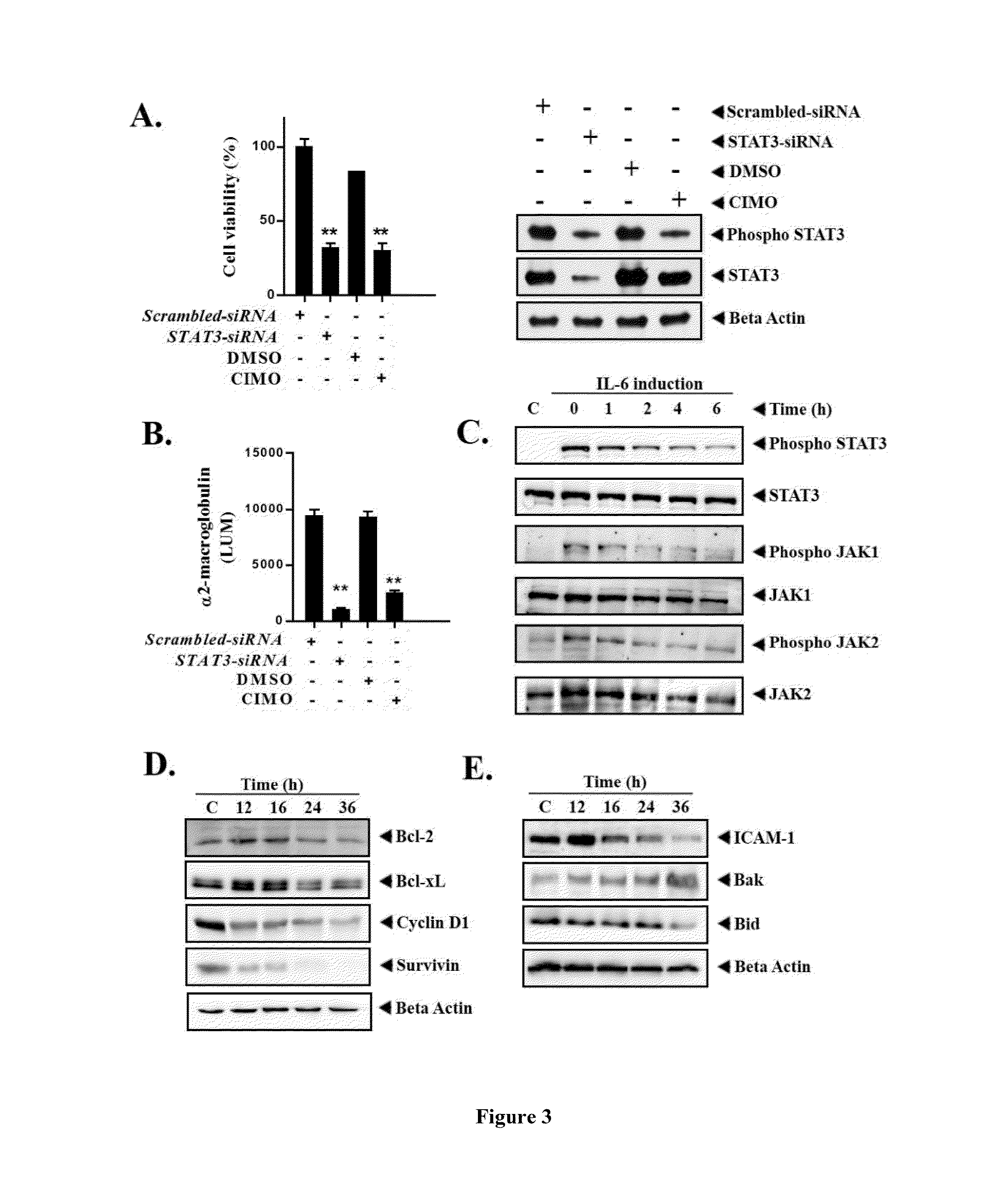 Compounds as modulator of JAK-STAT pathway, methods and applications thereof