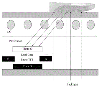 Touch display screen drive and fingerprint image acquisition method