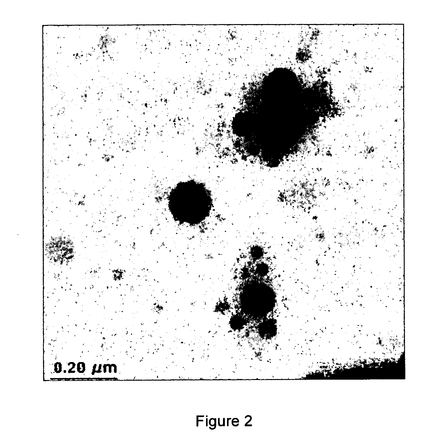 Polymer nano-particle with polar core and method for manufacturing same
