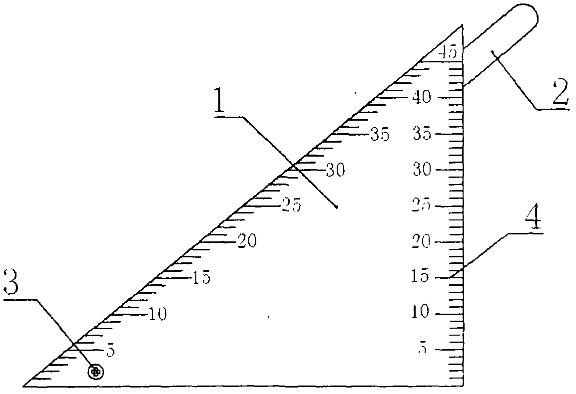 Measuring device for feature parts of feet