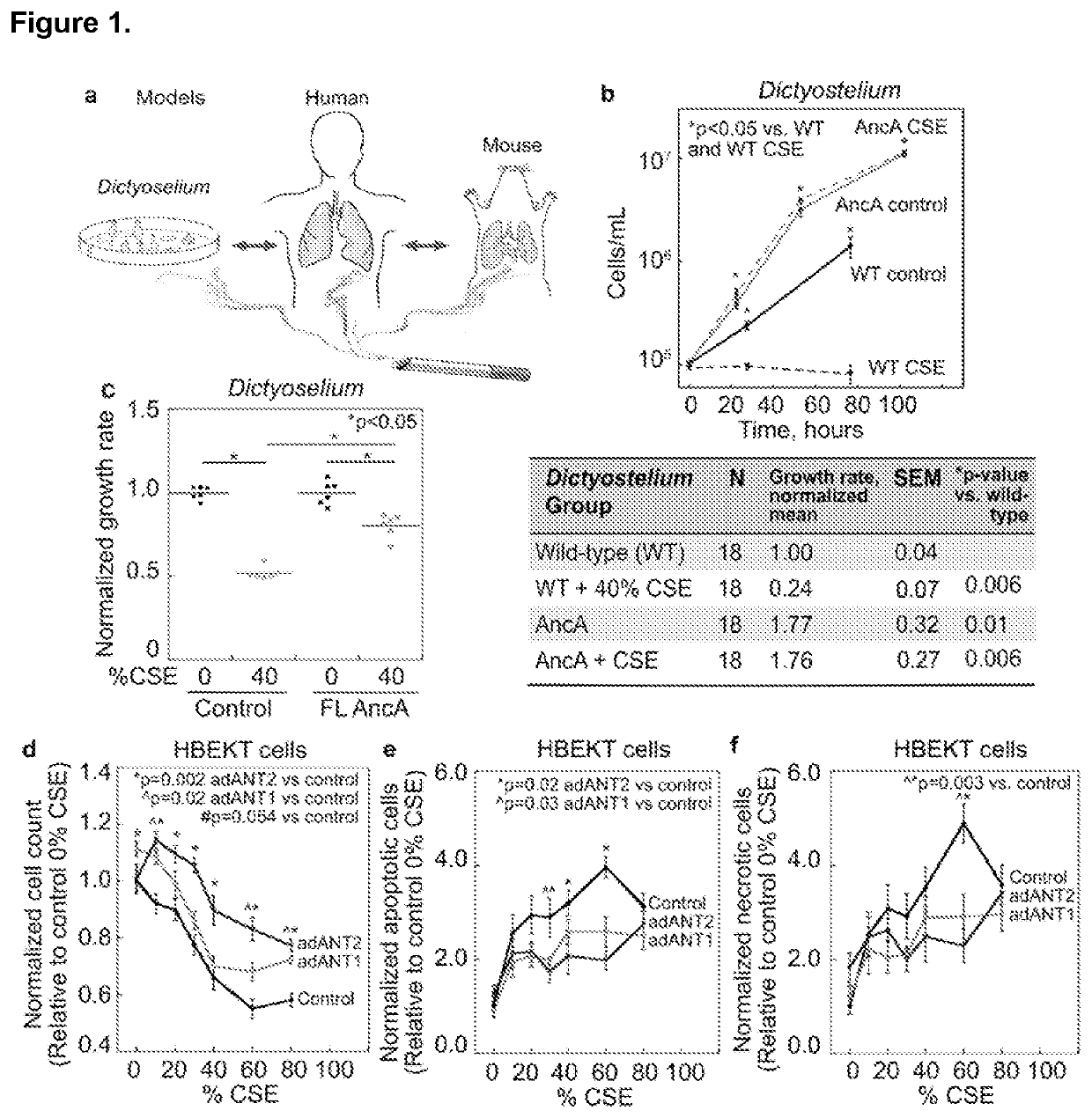 Lung cell treatments to prevent or treat disease