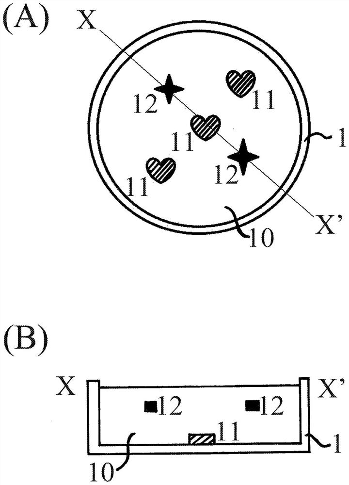 Oil-based cosmetic product having decorative layer