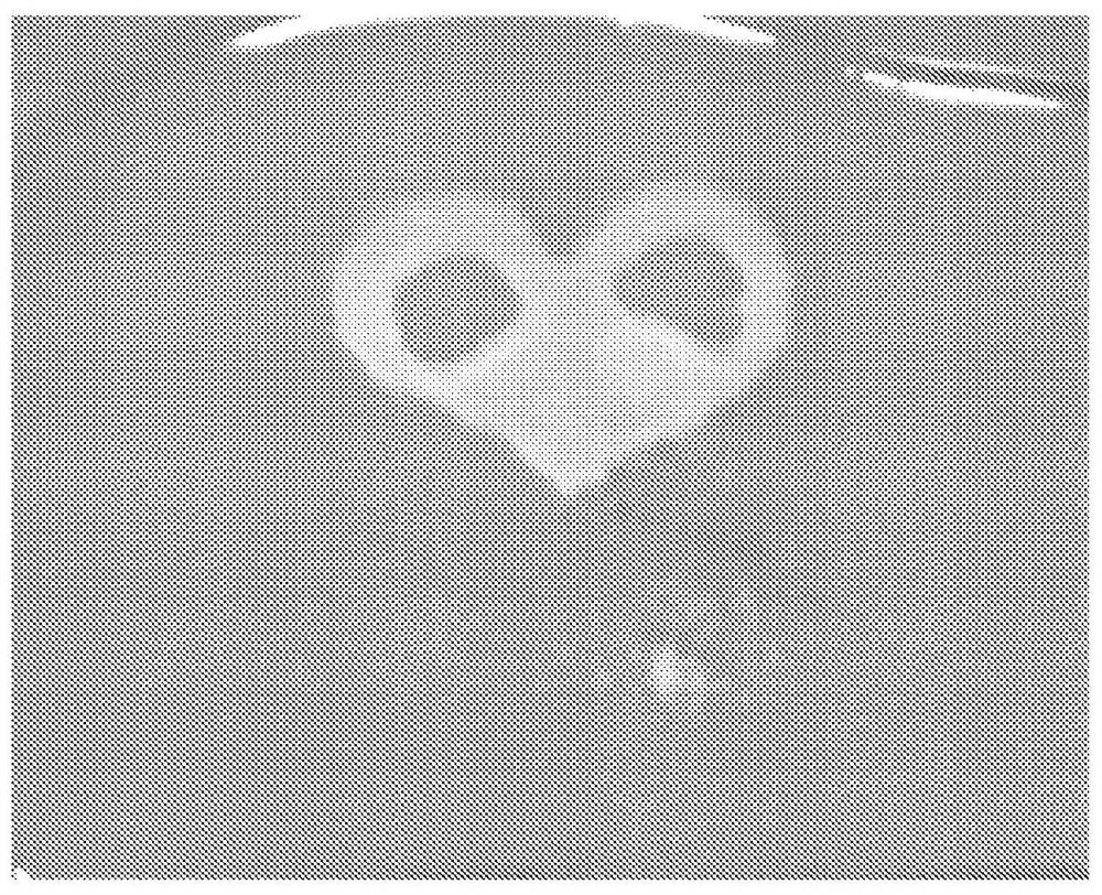 Oil-based cosmetic product having decorative layer