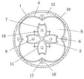 Concentration device for preparing medicinal liquor