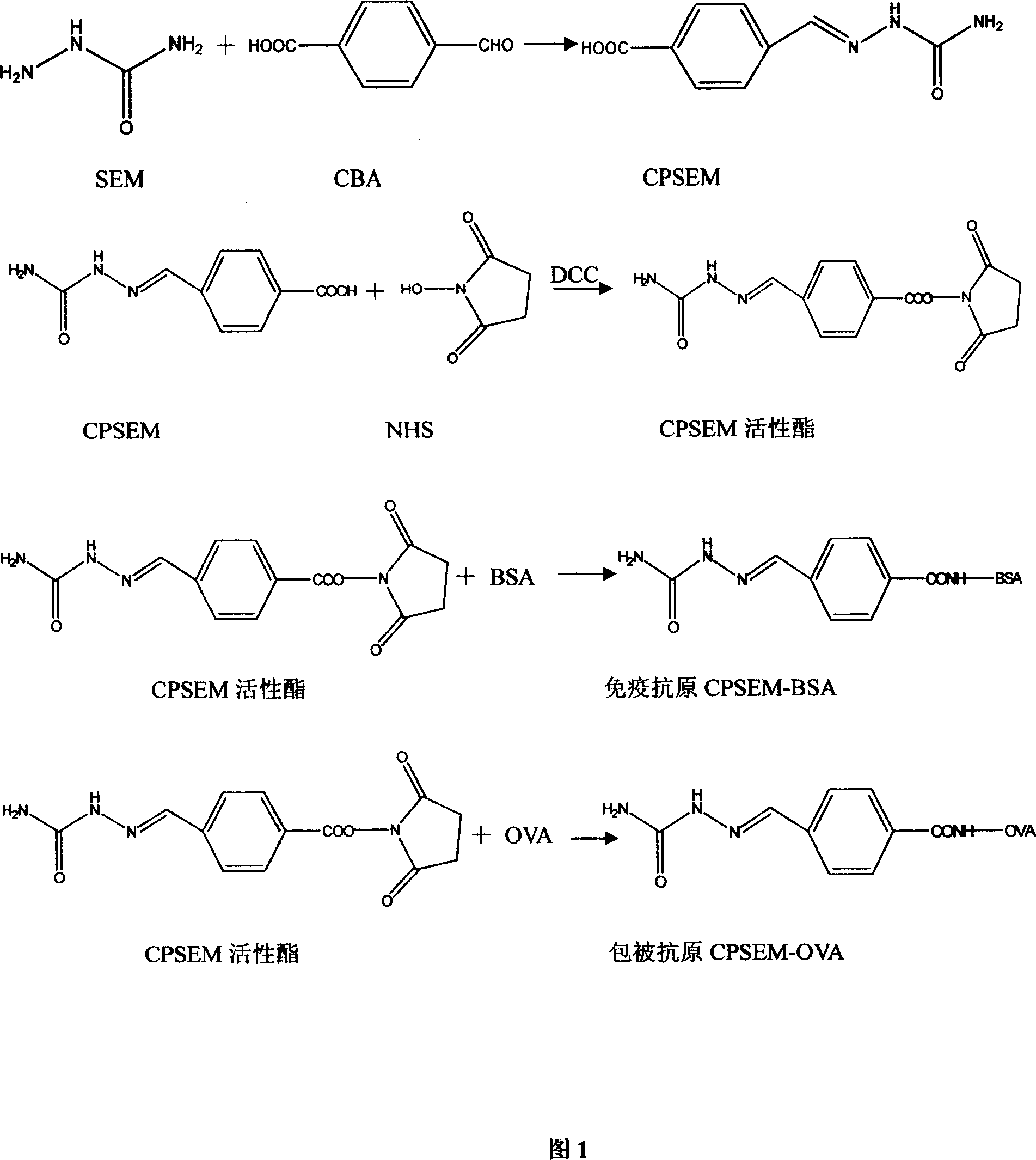 Semicarbazide derivative, monoclonal antibody thereof and application