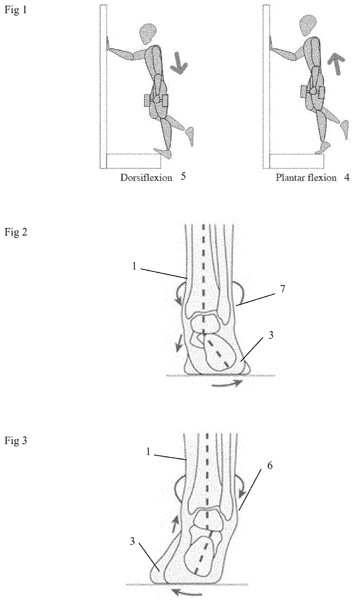 Apparatus reducing compensatory leg, ankle and foot movements during heel raise exercises in rehabilitation and fitness