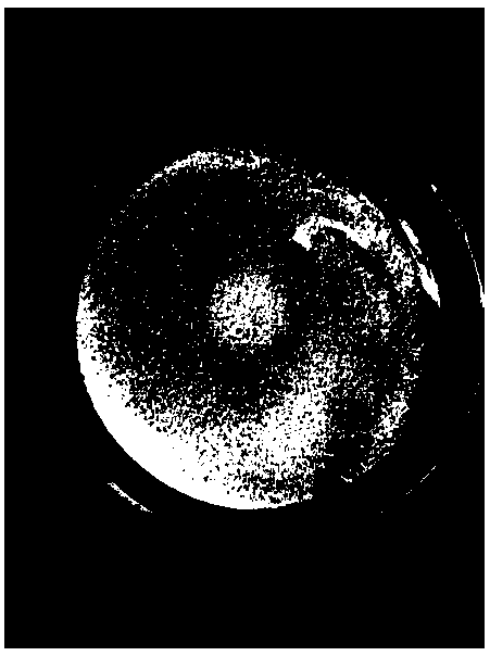 Unsalted butter granular essence and preparation method thereof