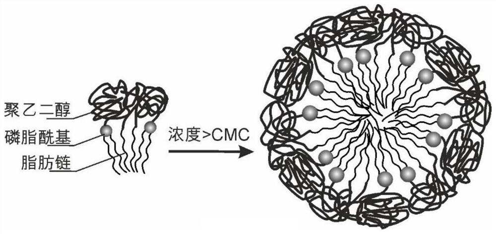 Use of micelles formed by polyethylene glycol derivatives in cosmetics