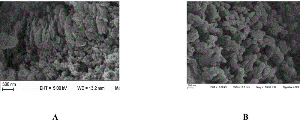 Graphite phase-like carbon nitride/tetracarboxylphenylporphyrin nano-composite material and preparation method therefor