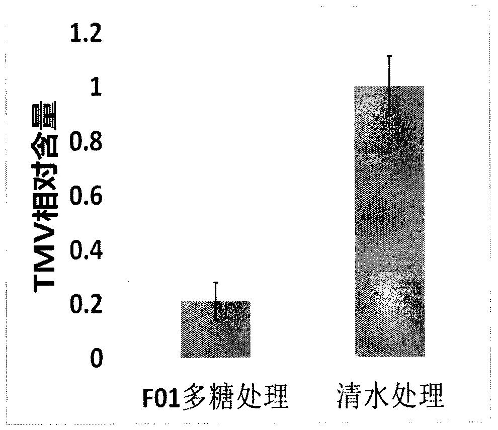 Application of F01 polysaccharide for resisting viruses