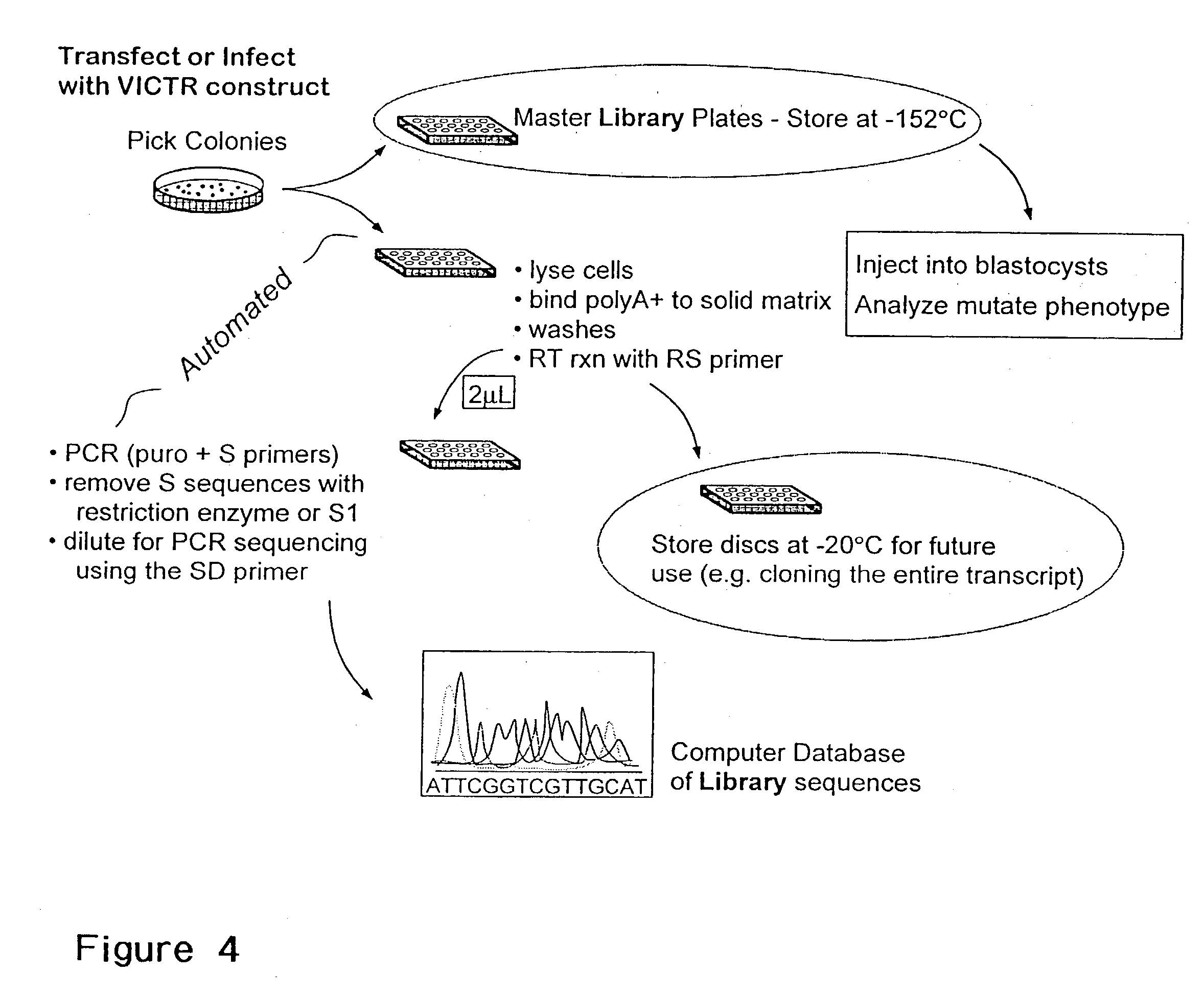 Indexed library of cells containing genomic modifications and methods of making and utilizing the same