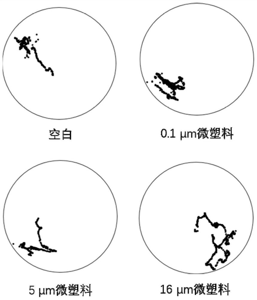 Method for evaluating microplastic toxicity based on daphnia magna behavioral indexes