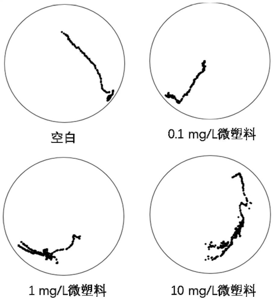 Method for evaluating microplastic toxicity based on daphnia magna behavioral indexes