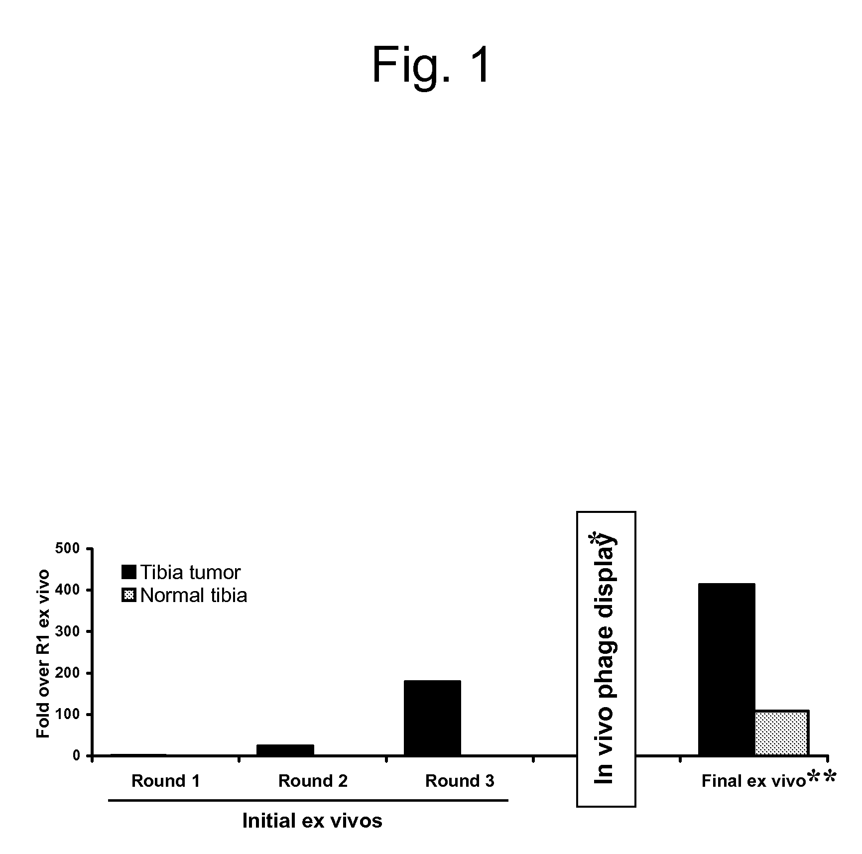 Methods and compositions related to internalizing RGD peptides