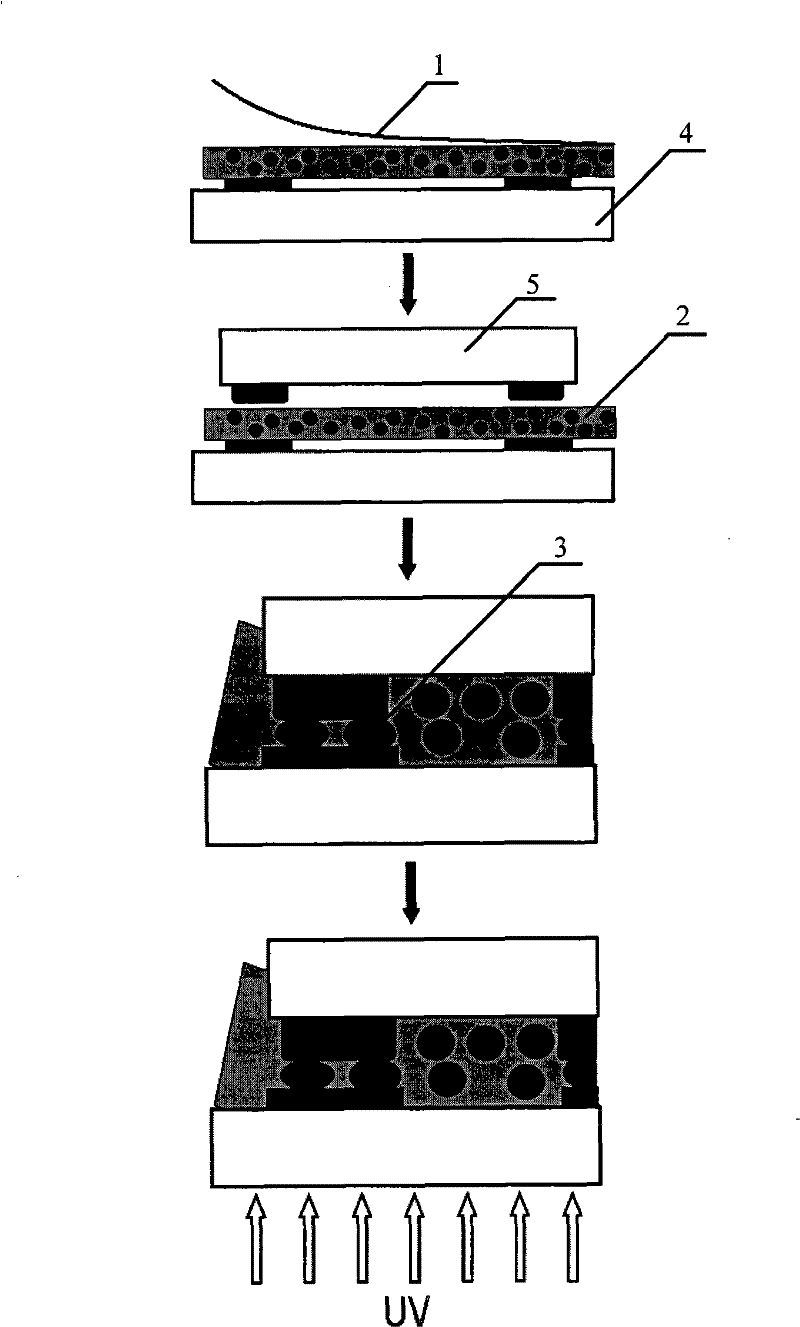 Anisotropic conductive adhesive, conductive film, and electrical connection method