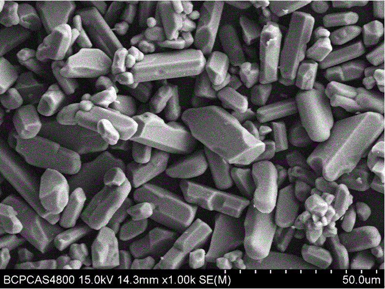 Nitride fluorescent powder and preparation method thereof