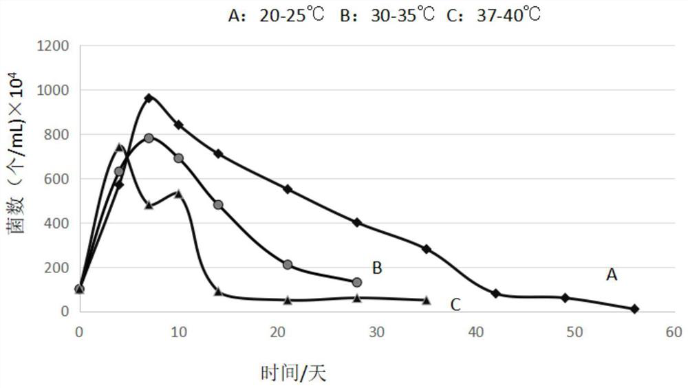 Fruit vinegar beer beverage wine and preparation method thereof