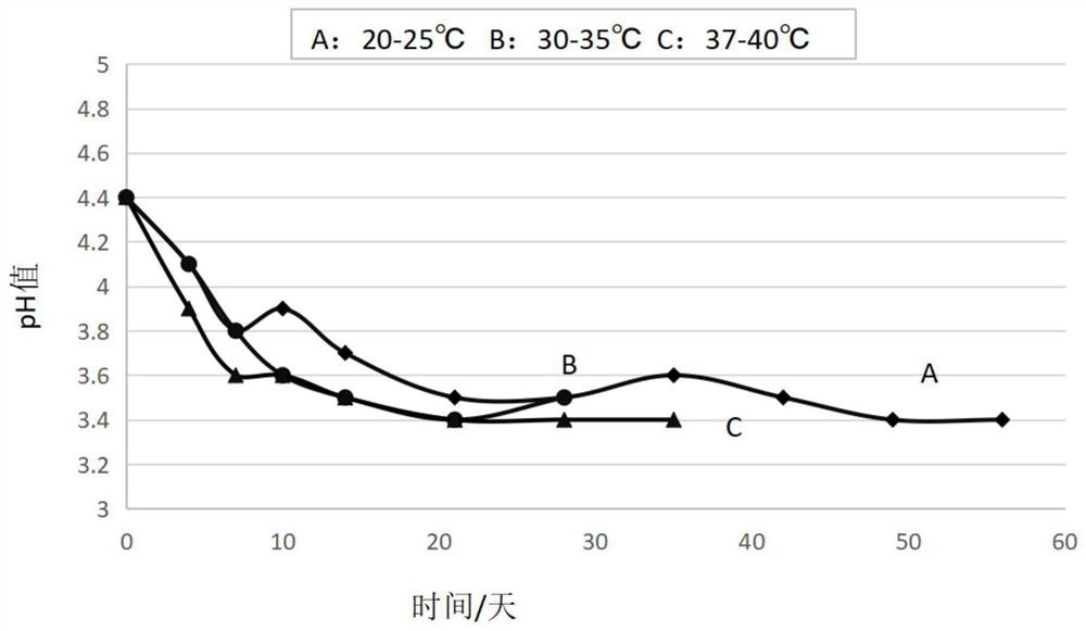 Fruit vinegar beer beverage wine and preparation method thereof