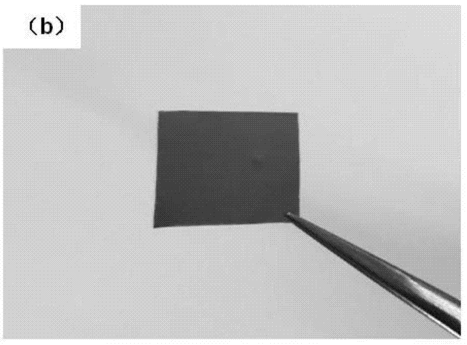 A nanoporous copper/platinum core-shell structure catalytic electrode and its preparation method