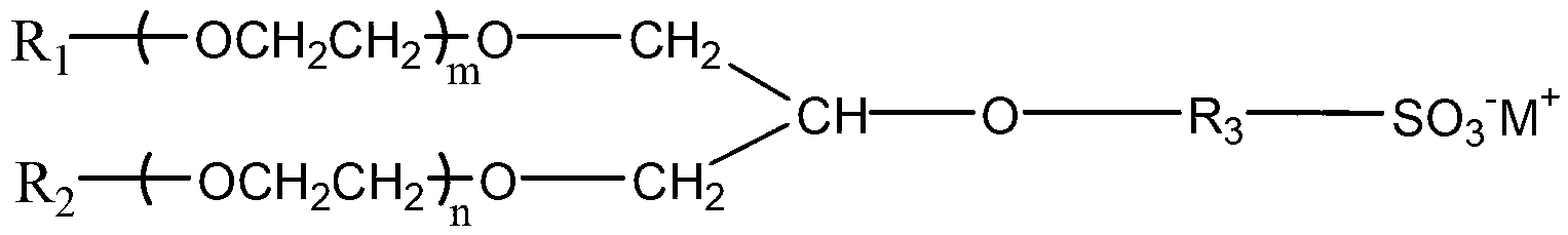 Branched chain ether type anionic surfactant and preparation method thereof