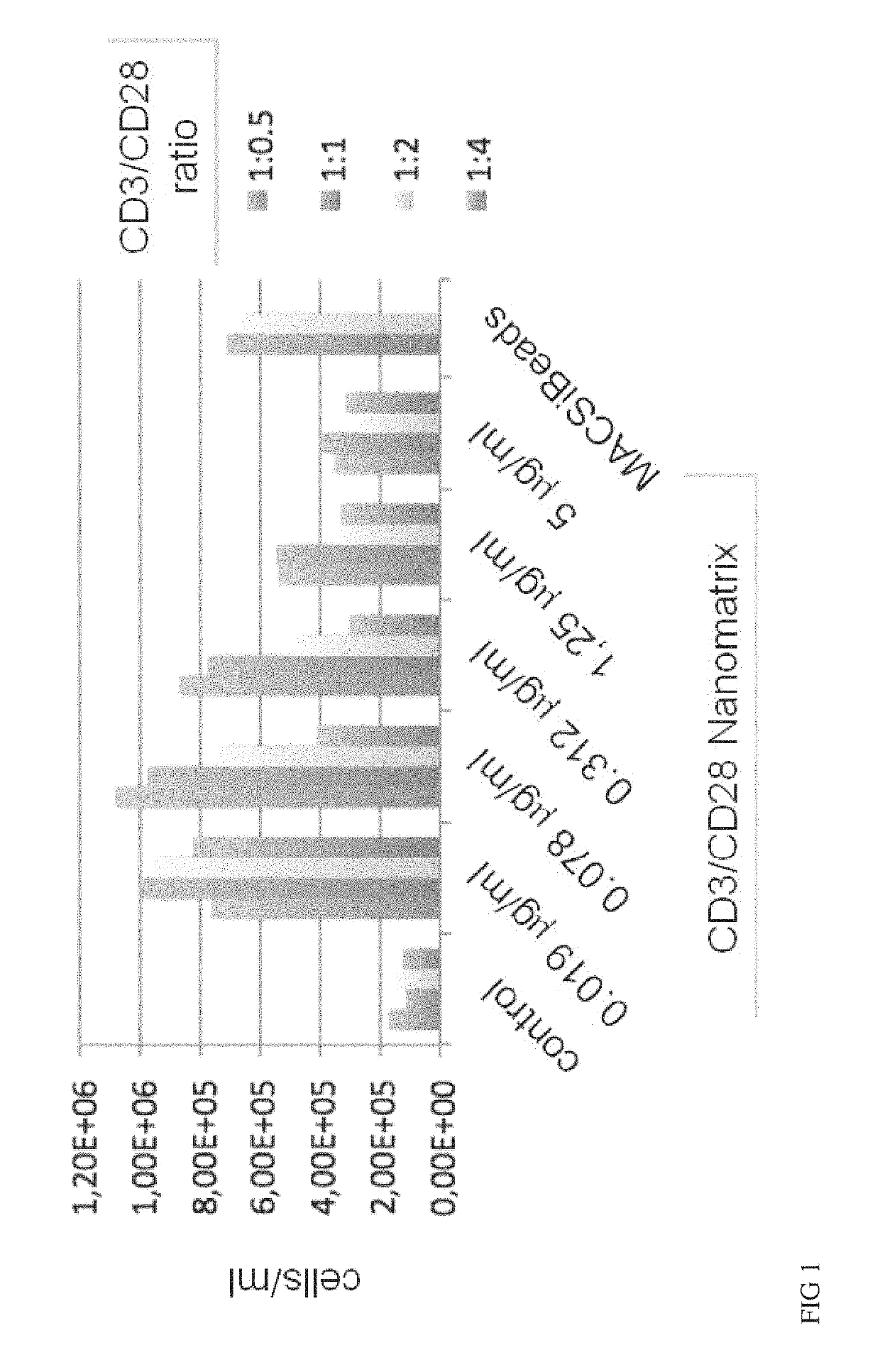 Method for polyclonal stimulation of T cells by flexible nanomatrices