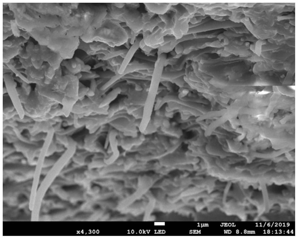 A kind of parabolic polyimide film and preparation method thereof