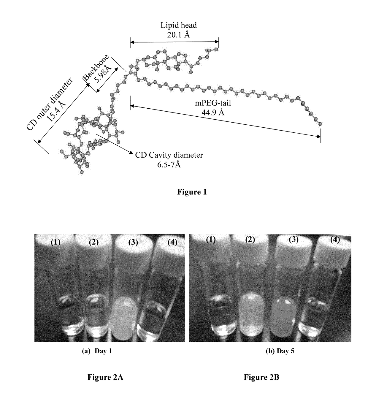 Polymer-cyclodextrin-lipid conjugates