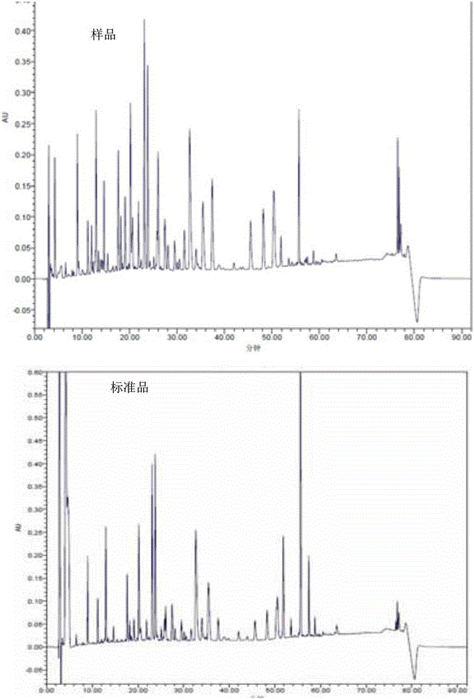 A kind of recombinant engineering bacteria highly expressing human growth hormone and its construction method and application