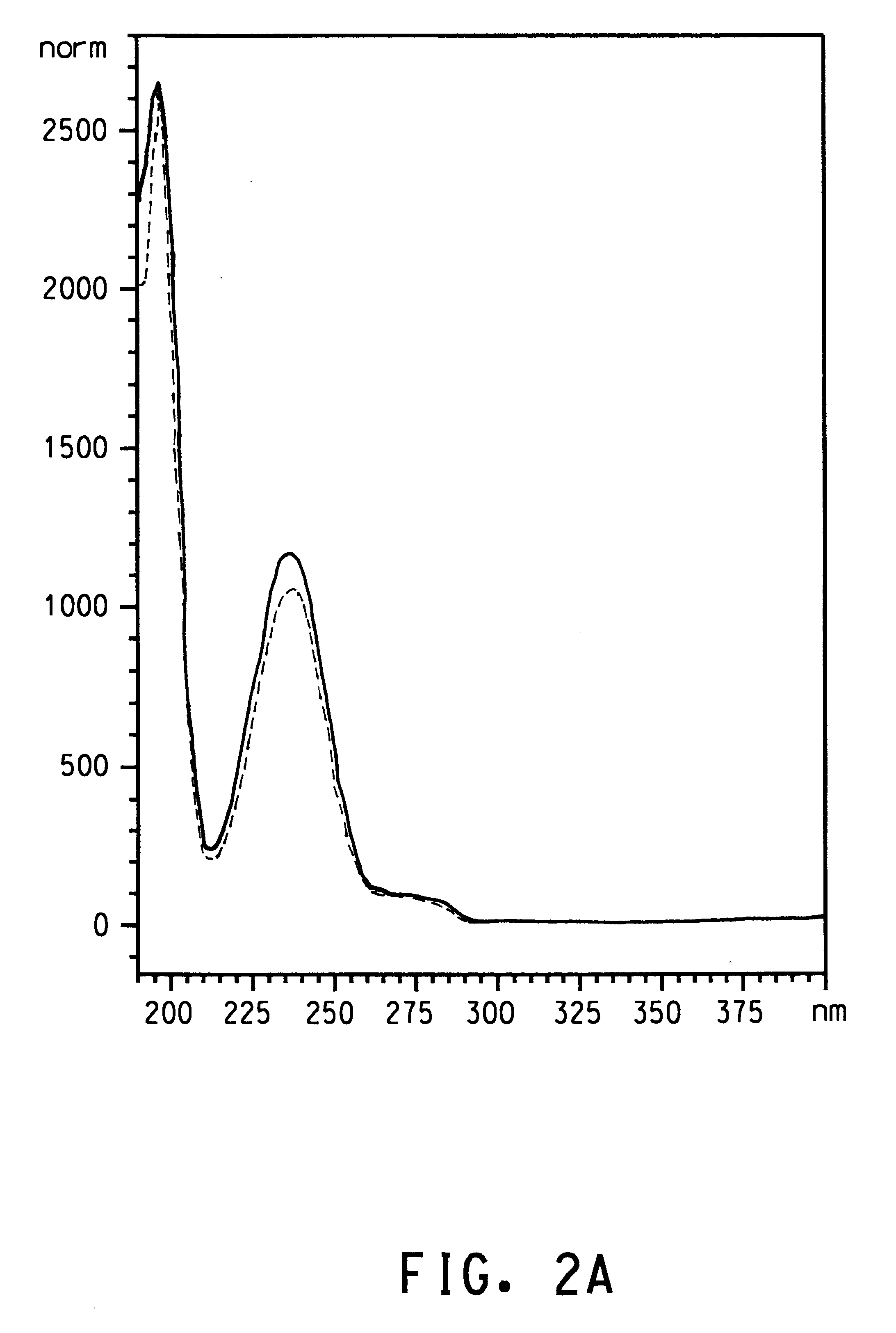 Terephthalic acid producing proteobacteria