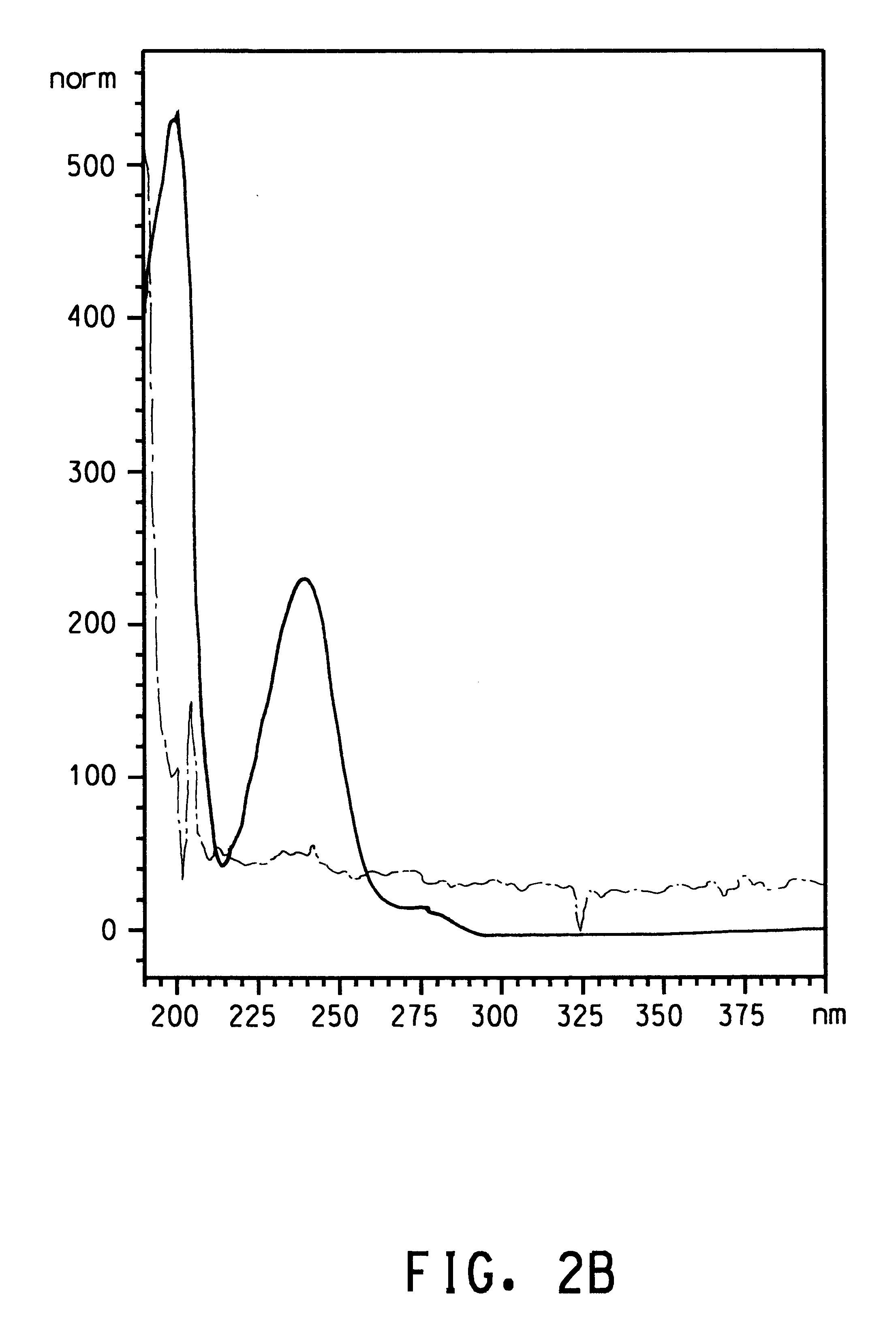 Terephthalic acid producing proteobacteria