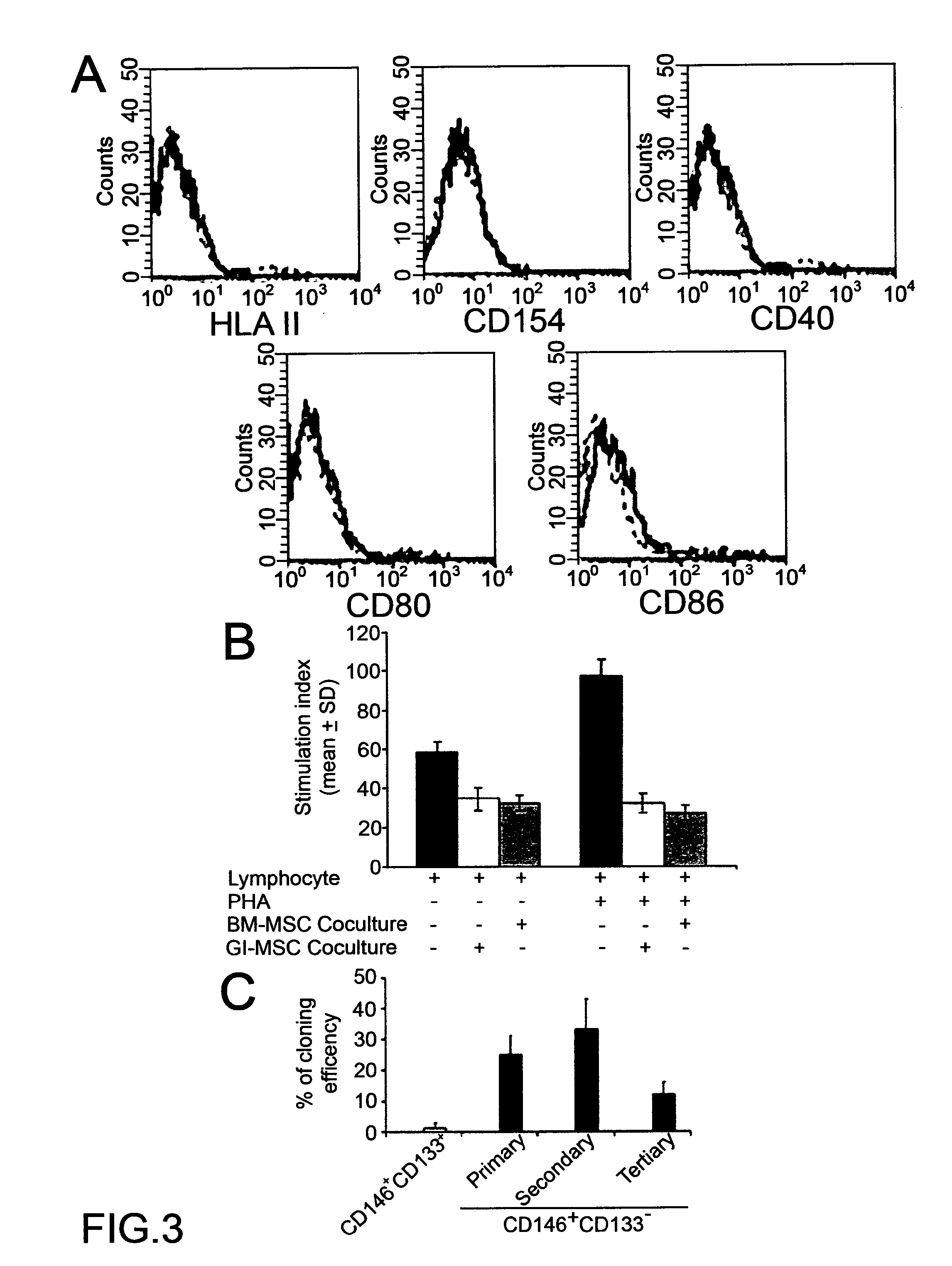 Isolated multipotent mesenchymal stem cell from human adult glomeruli (HGL-MSC), a method of preparing thereof and uses thereof in the regenerative medicine of the kidney