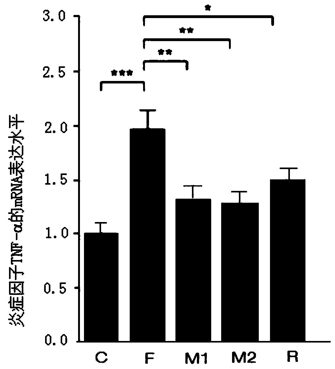 Application of mulberroside A and derivatives thereof in preparation of drug for protecting intestinal barrier